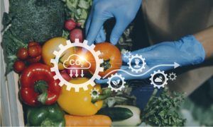 Alimentation saine et bio : une approche équilibrée et responsable